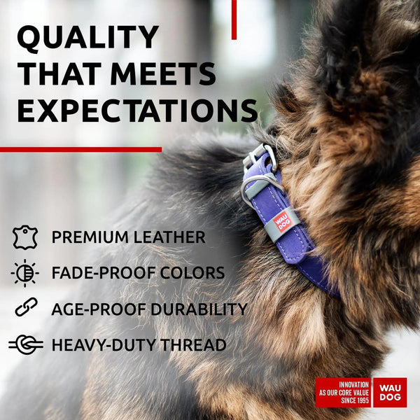 100% Genuine Leather Dog Collar – Durability Meets Style! - Animal Minds