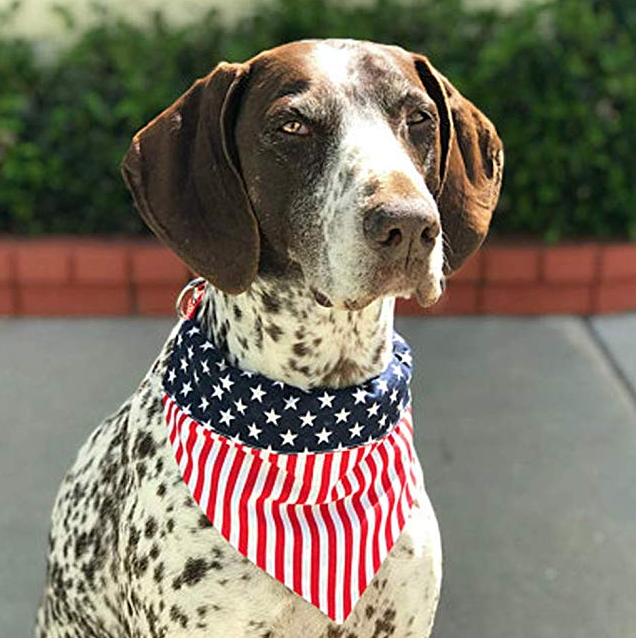 Stylish Dog Bandana: Classic Comfort for Your Pup! 🐾🎀