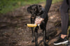 Keep Your Furry Friend Hydrated On-the-Go with the GF PET Water Bottle & Foldout Bowl!