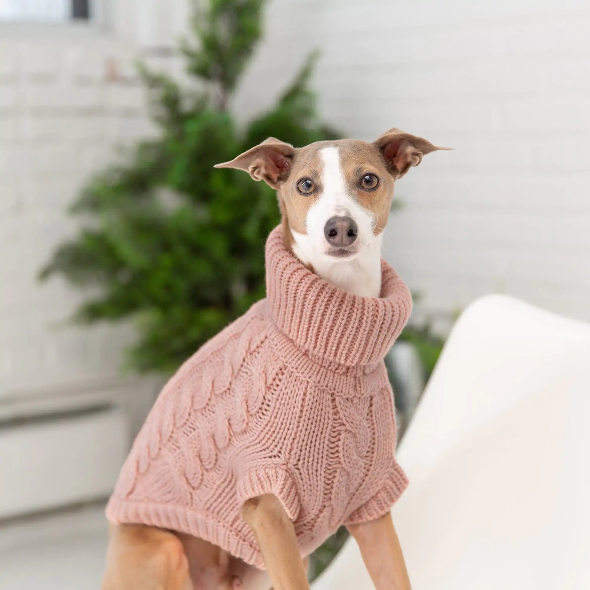 GF PET Chalet Sweater in Pink: Cozy Meets Chic! 🐾💖