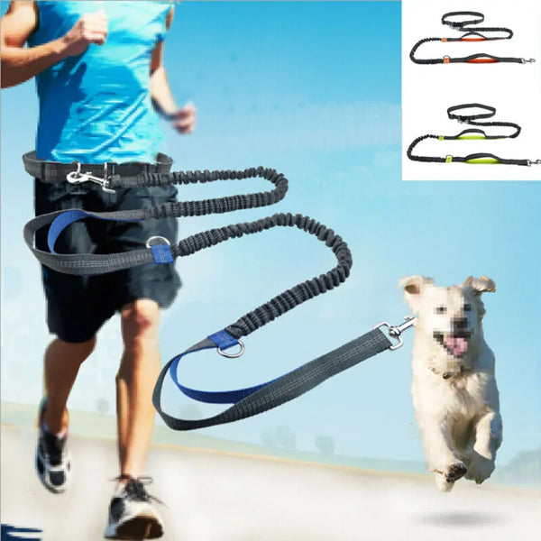 NEW Reflective Rope Pet Leashes – Walks Just Got a Whole Lot More Exciting!