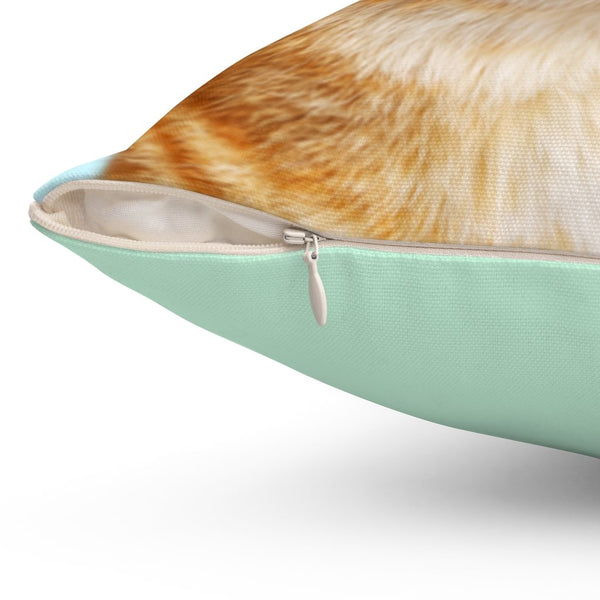 Purr-sonalized Indoor Pillow – Make Your Room Roar with Style!