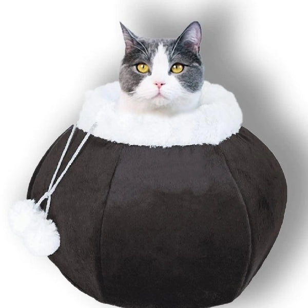 Cozy Cat Tent Bed: Soft, Playful, and Purr-fectly Plush!