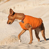 Sustainable Eco-Friendly Dog Jacket / Vest - Made in Ukraine