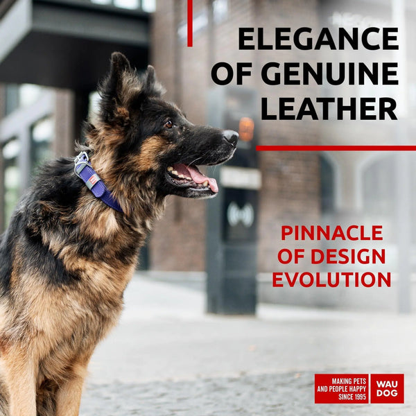 100% Genuine Leather Dog Collar – Durability Meets Style!