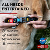 NASA Nylon Dog Collar – Launch Your Pup’s Style Into Orbit! 🚀