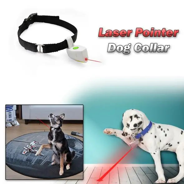 Laser Pointer Pet Collar – Adventure Meets Playtime!