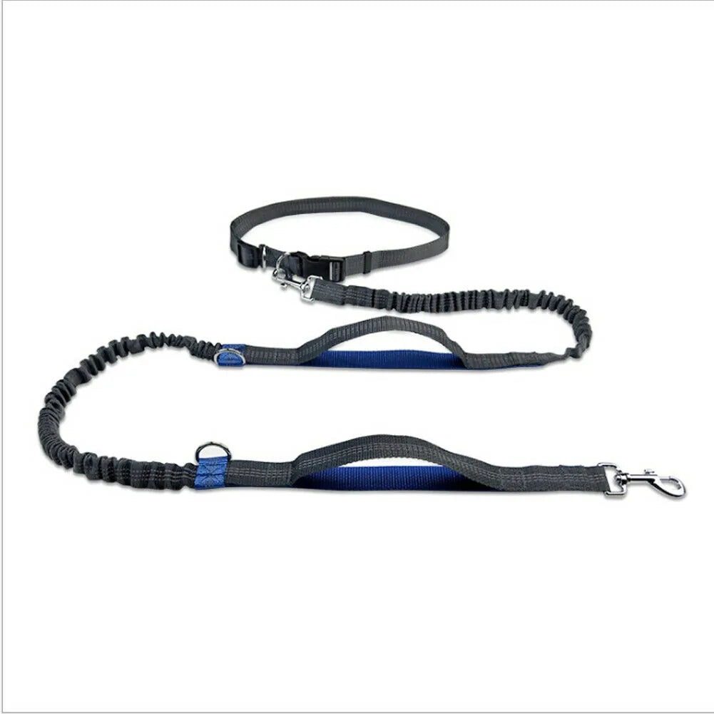 NEW Reflective Rope Pet Leashes – Walks Just Got a Whole Lot More Exciting!