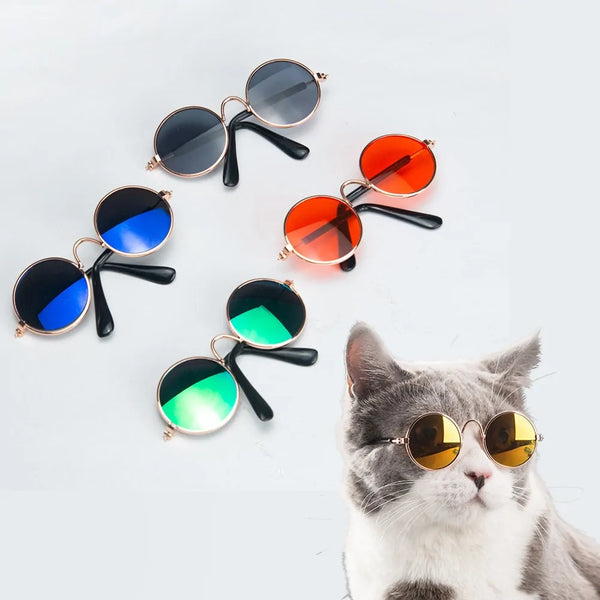 Pet Sunglasses – Because Your Pet Deserves to Be the Coolest on the Block!