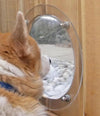 Give Your Pet a Window to the World with Pet Peek!