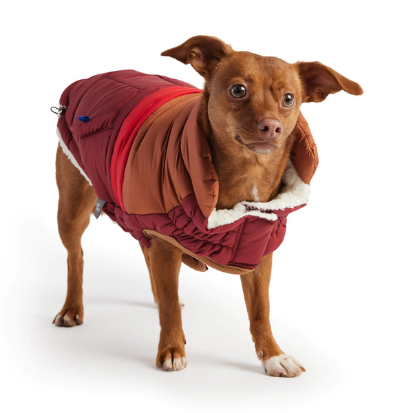 GF PET Elasto-FIT Retro Puffer – For Cool Dogs Who Know Style!