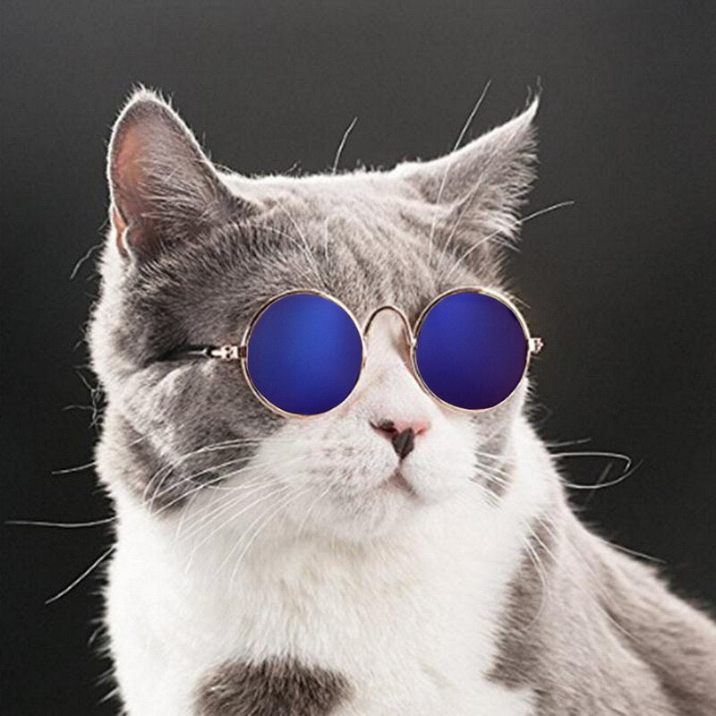 Pawsome Shades – Pet Sunglasses for the Coolest Cats & Dogs