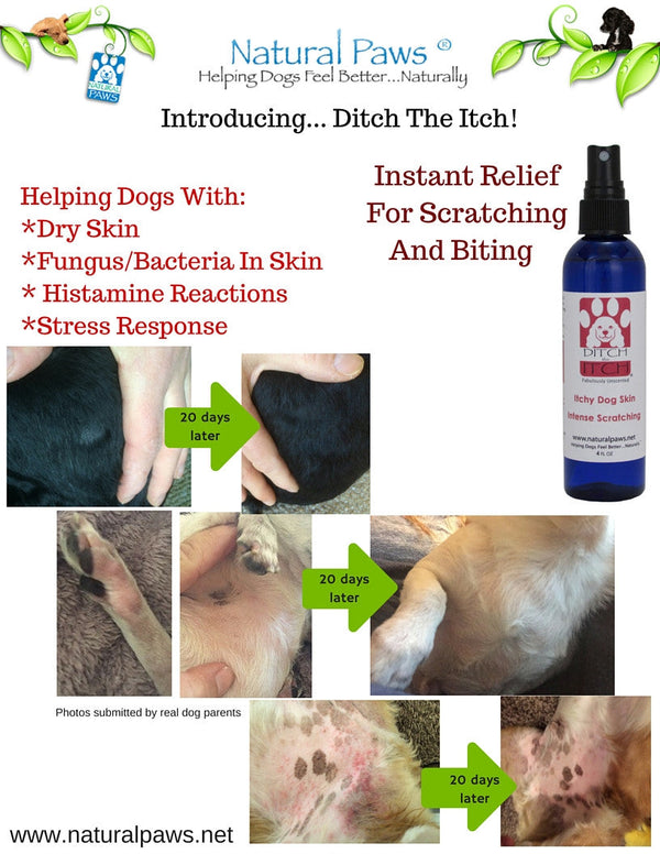 Scratch No More - Soothe That Itch Away!