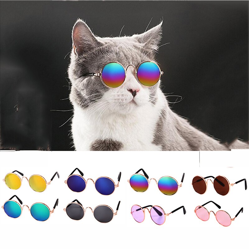 Paw-some Pet Sunglasses – For Cats with Class and Dogs with Swag