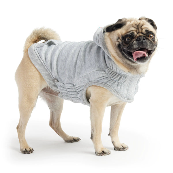 GF PET Urban Dog Hoodie – Street Style for Your Chill Pup