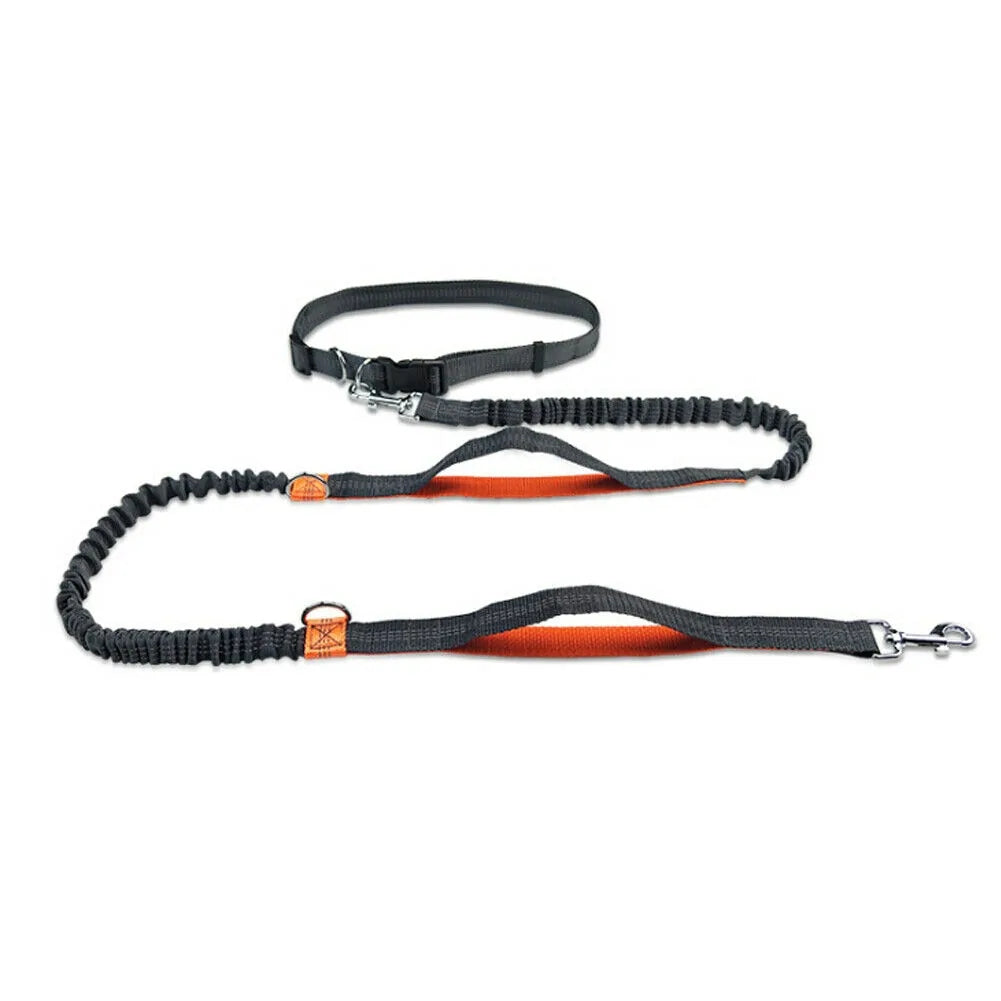 NEW Reflective Rope Pet Leashes – Walks Just Got a Whole Lot More Exciting!