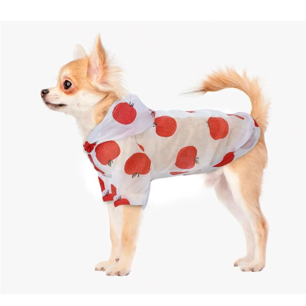 Ultimate All-Weather Protection: Small Pet Raincoat & Sun-Proof Gear! 🐾☀️🌧️