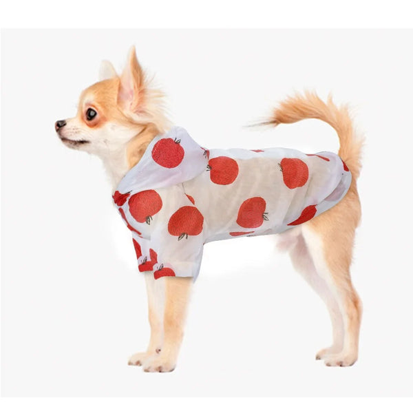 Ultimate All-Weather Protection: Small Pet Raincoat &amp; Sun-Proof Gear! 🐾☀️🌧️