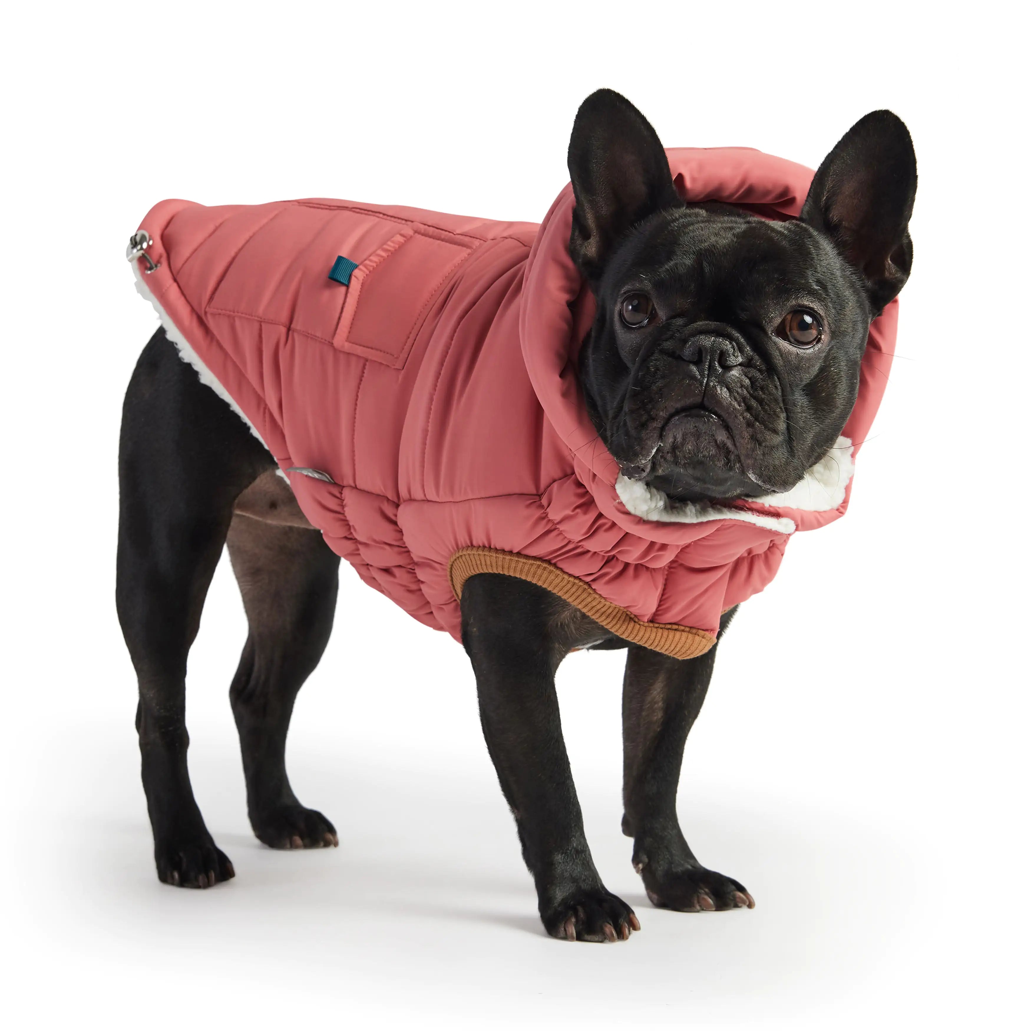 GF PET Elasto-FIT Super Puff Parka: Luxurious Warmth & Style! 🐾❄️