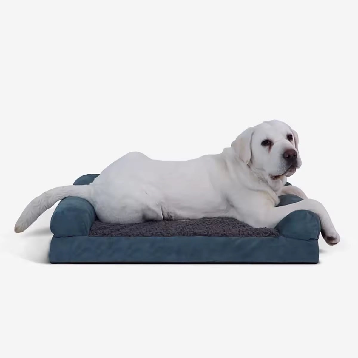 Orthopedic Dog Bed