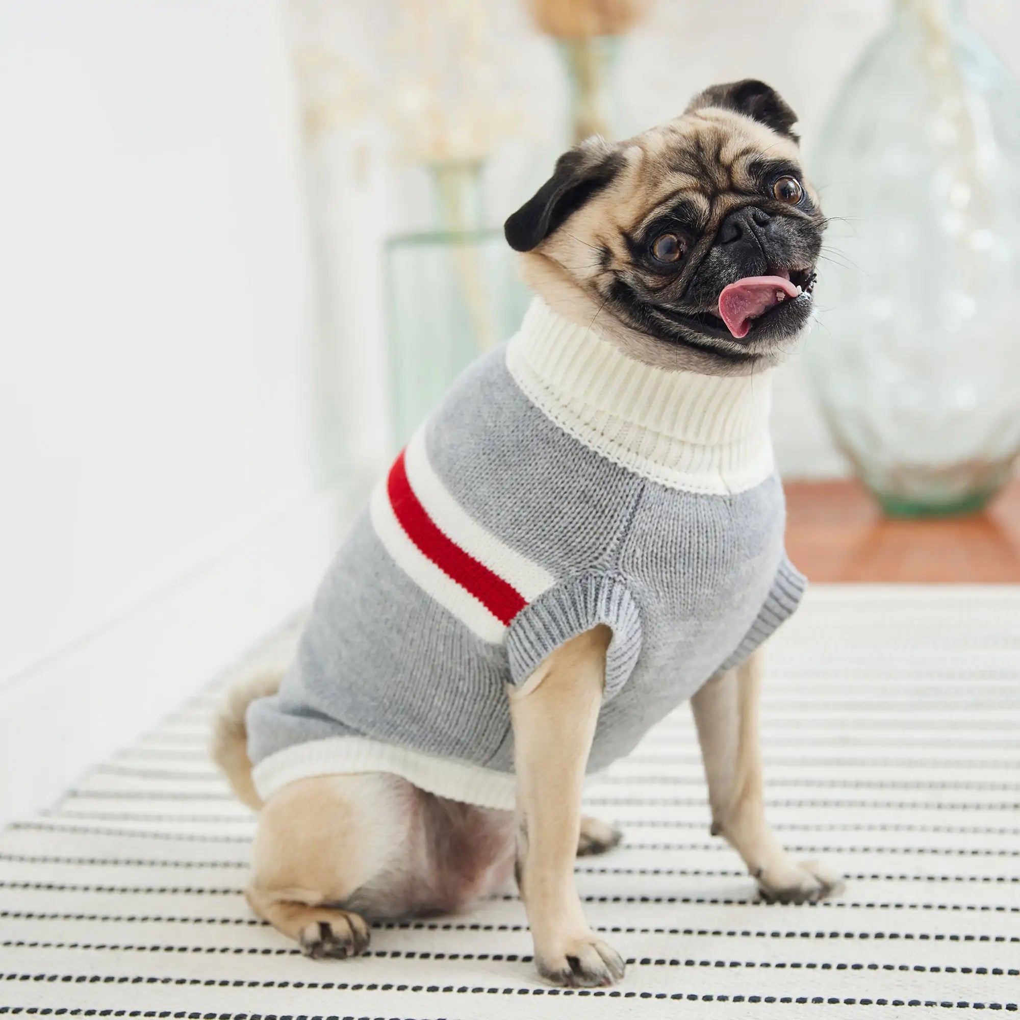 GF PET Trekking Turtleneck Sweater: Style & Confidence for Every Adventure! 🐾🍂