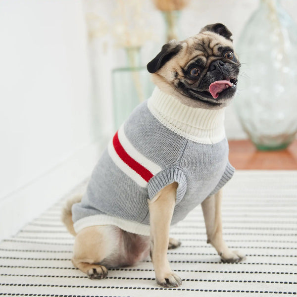 GF PET Trekking Turtleneck Sweater: Style &amp; Confidence for Every Adventure! 🐾🍂