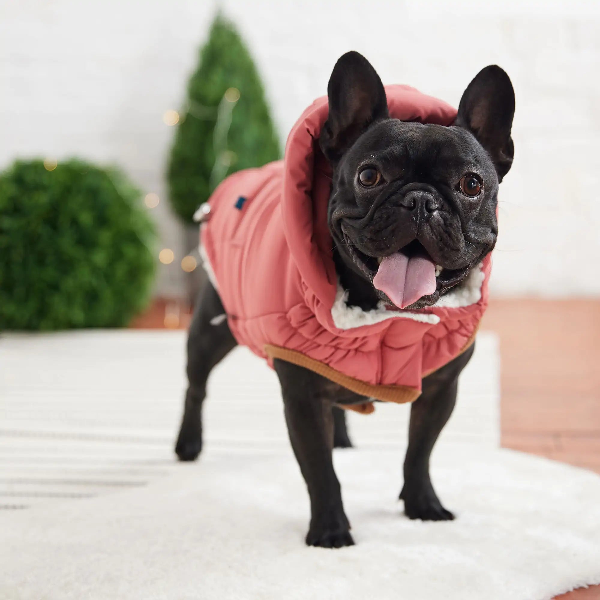 GF PET Elasto-FIT Super Puff Parka: Luxurious Warmth & Style! 🐾❄️