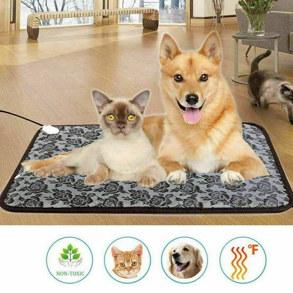 Self-Heating Thermal Bed: Keep Your Pets Cozy Anywhere! 🐾🔥