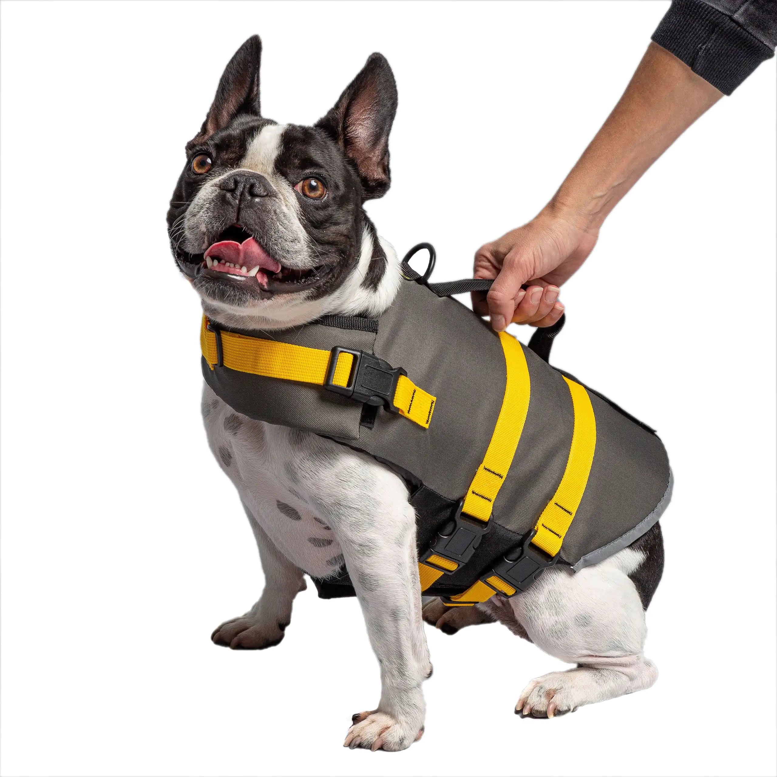 Official US Army® Pet Life Vest: Safety Meets Style!