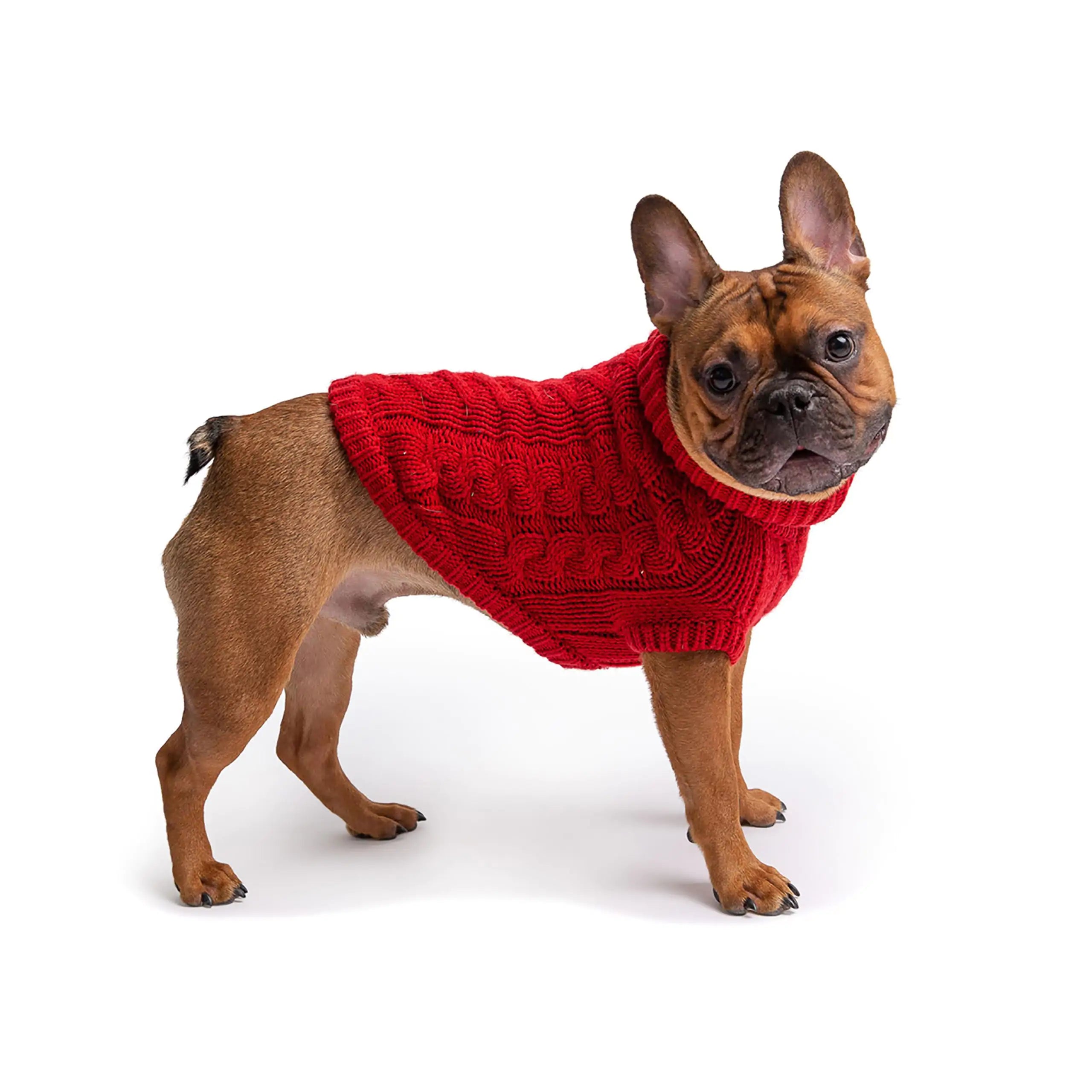 GF PET Chalet Sweater – For Pups Who Slay the Cozy Game