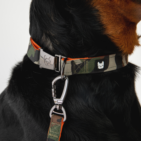 Poplin Leash – Fun, Durable, and Perfect for Every Adventure!