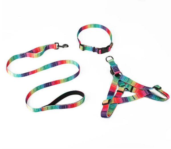 Matching Leash & Collar Set – Triple the Style, Triple the Fun!