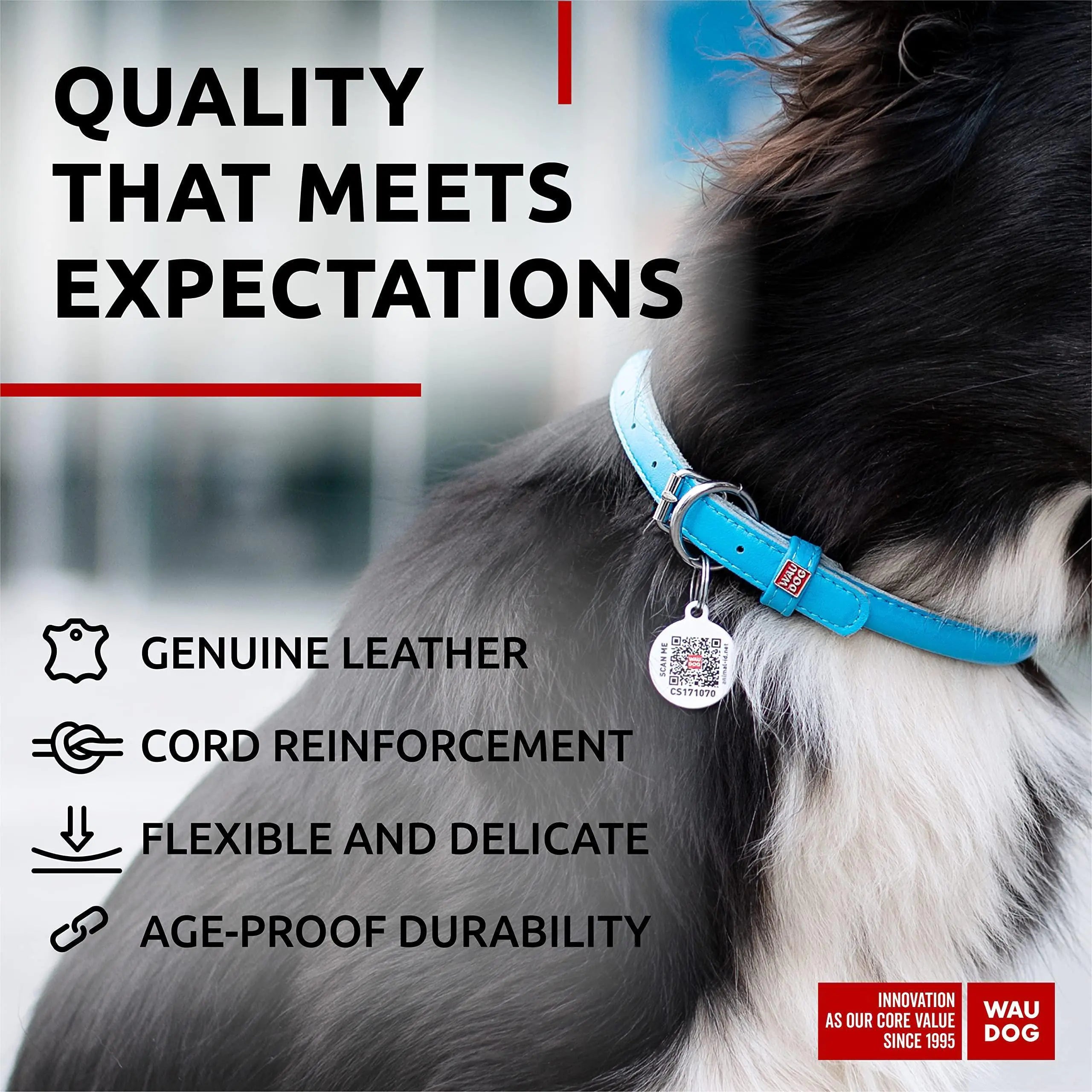 Ultra Soft Rolled Leather Collar – For Small Dogs with Big Attitude