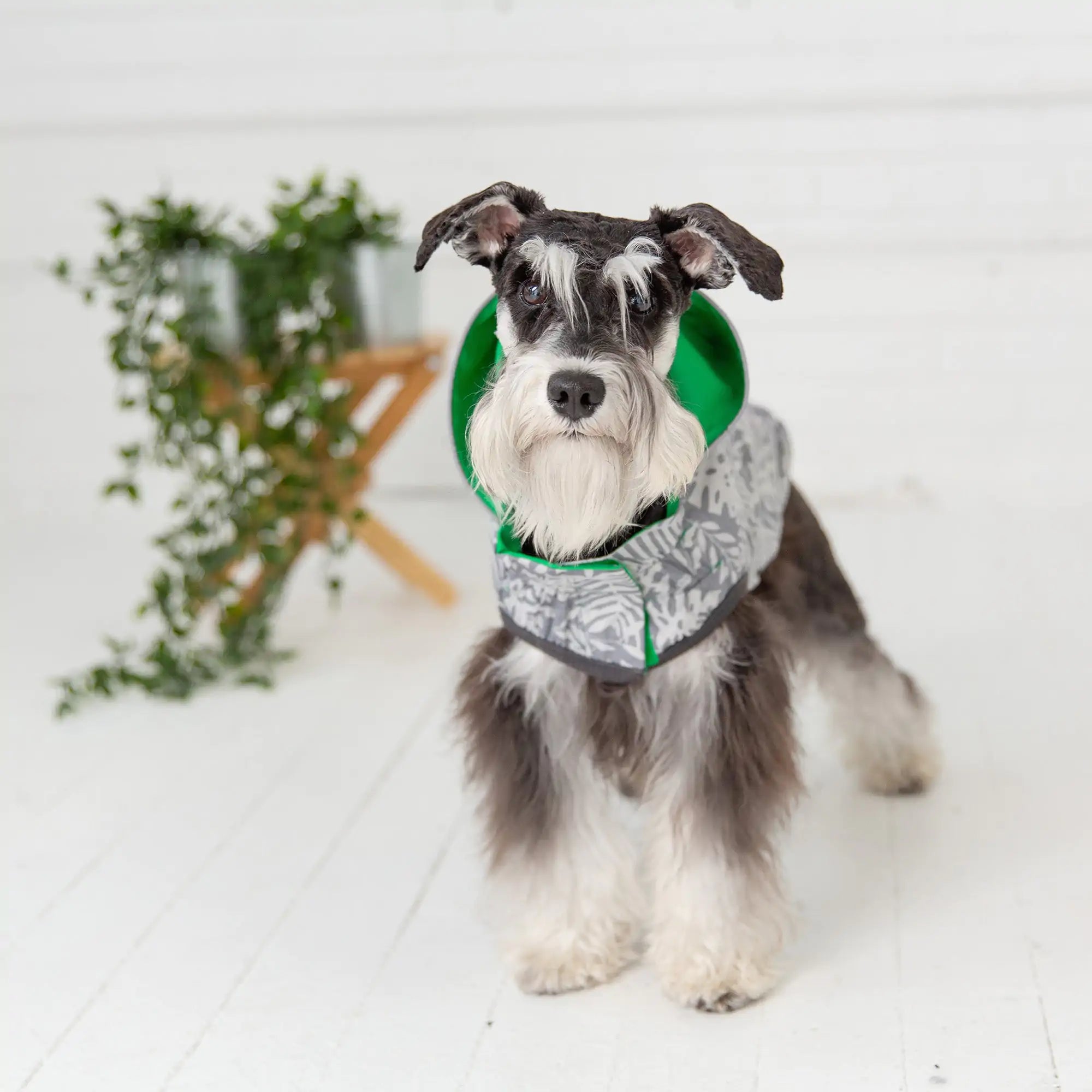 The Ultimate Reversible Dog Raincoat: Style Meets Function! 🌧️🐾