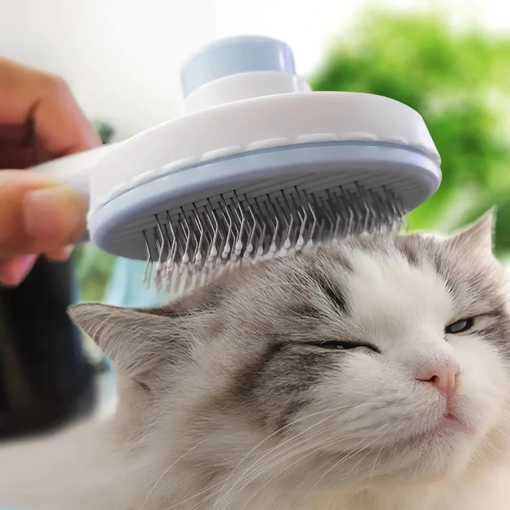 Pet Brush – Tame the Fur, Rule the Clean!