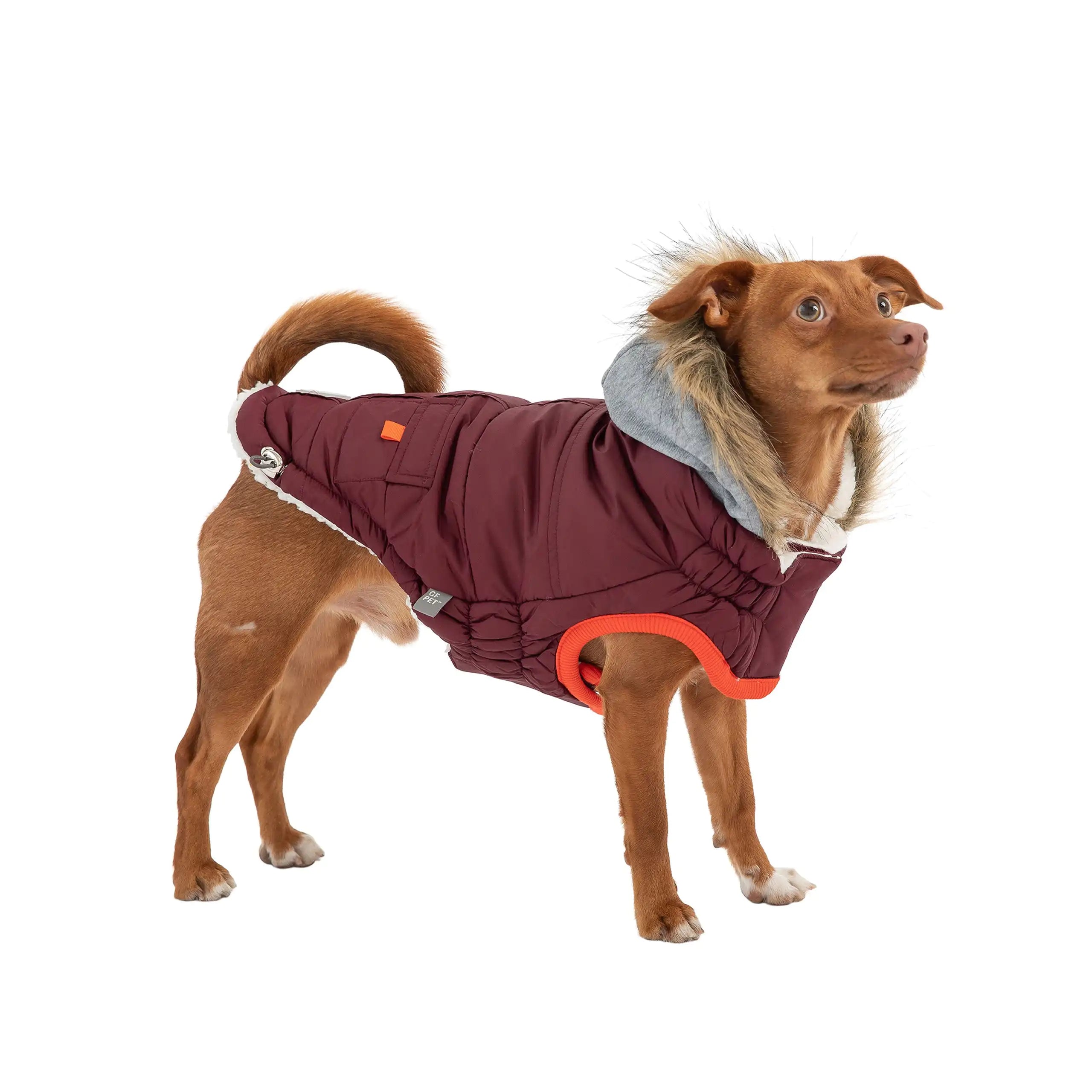 The Ultimate Winter Sailor Parka: Style & Warmth for Your Pup! 🐾❄️