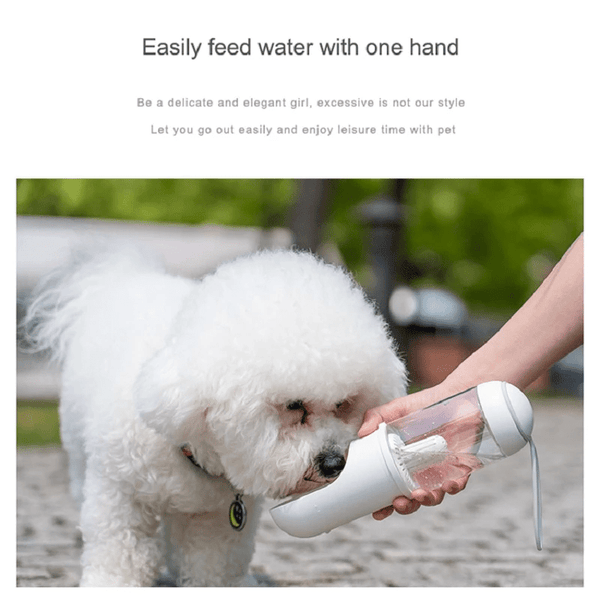 Adventure - Ready Travel Pet Water Dispenser – Hydration with a Dash of Pizzazz! - Animal Minds