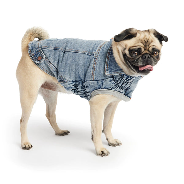 GF PET Elasto-FIT Light Wash Denim Jacket – For Pups with Attitude!