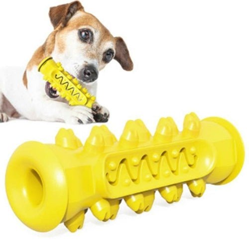 Chew. Clean. Repeat! The All - in - One Doggy Dental Playmate - Animal Minds