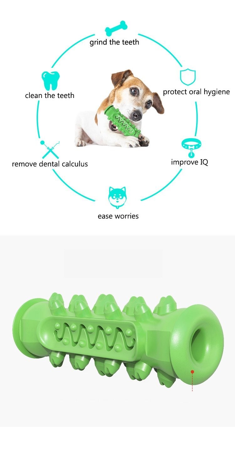 Chew. Clean. Repeat! The All - in - One Doggy Dental Playmate - Animal Minds