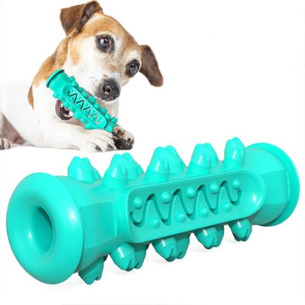 Chew. Clean. Repeat! The All - in - One Doggy Dental Playmate - Animal Minds