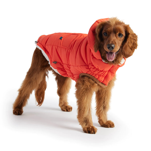 GF PET Elasto-FIT Super Puff Parka: Snuggle Up in Style! 🐾❄️