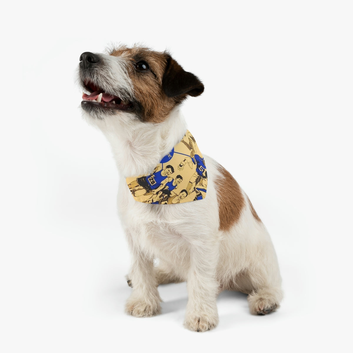 Pawsome Bandana Collar – Fun, Fashion, and a Whole Lot of Flair!