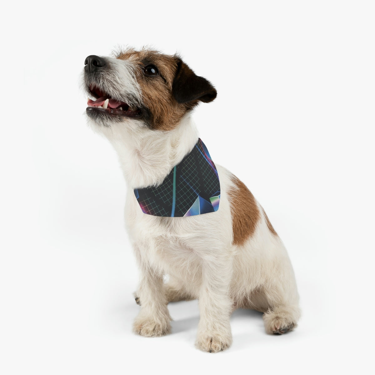 Pet Bandana Collar – Where Style Meets Play!