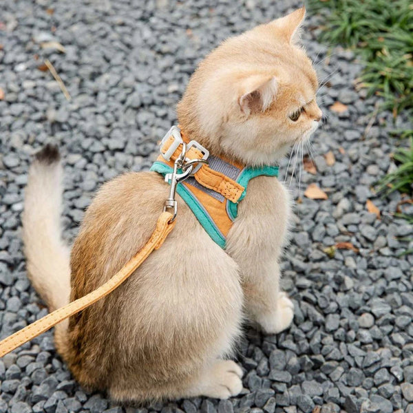 Purr-fectly Secure: Reflective Cat Harness & Leash Set