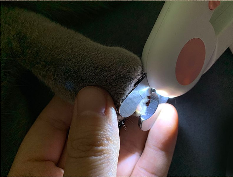 Pet LED Nail Clippers – Snip, Snap, Done in a Flash!