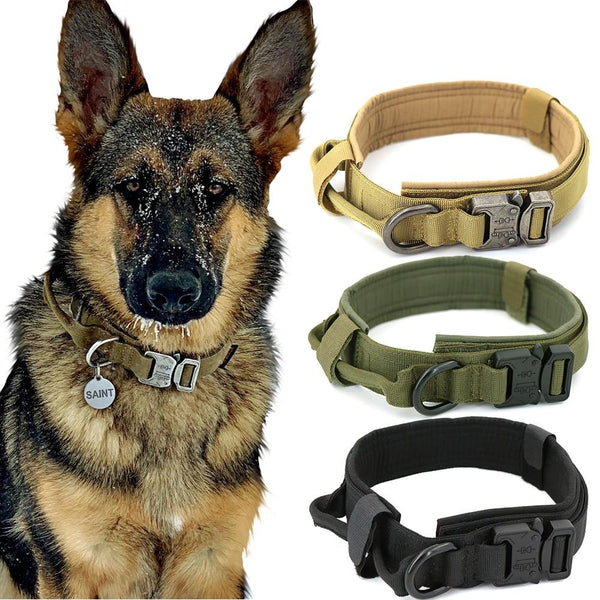 Heavy-Duty Dog Collar with Handle – Comfort Meets Control