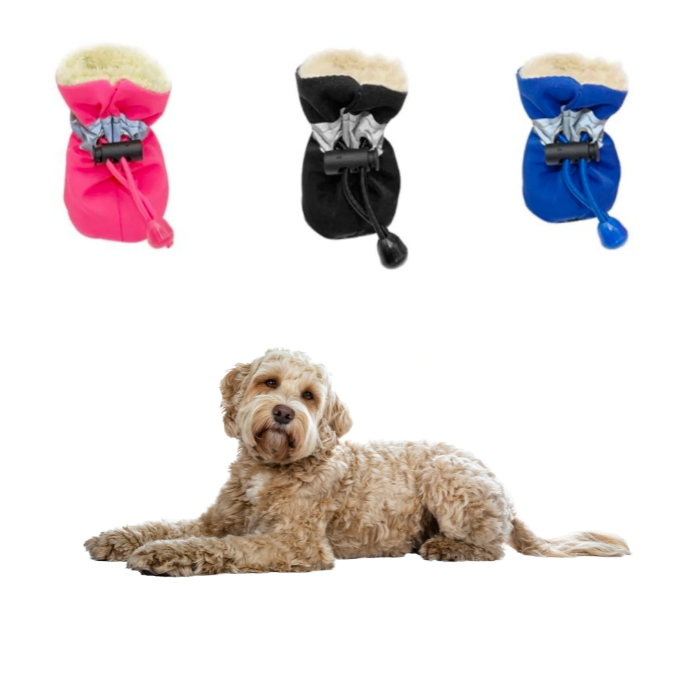 Paw-Trek Anti-Slip Winter Boots – Keep Those Paws Toasty & Stylish!