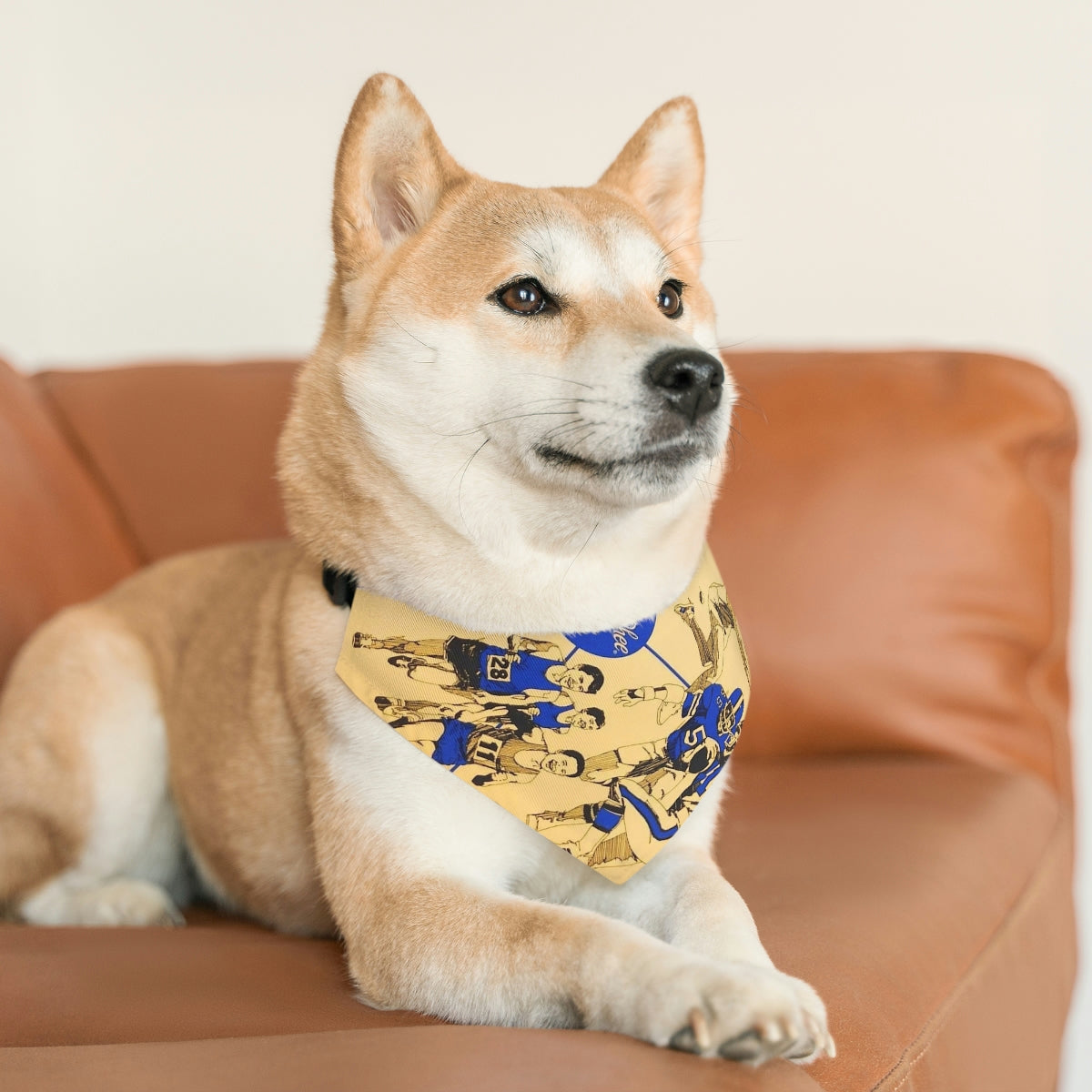 Pawsome Bandana Collar – Fun, Fashion, and a Whole Lot of Flair!