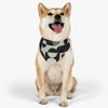 Abstract Pet Bandana Collar – For the Bold Pup Who Breaks All the Rules!